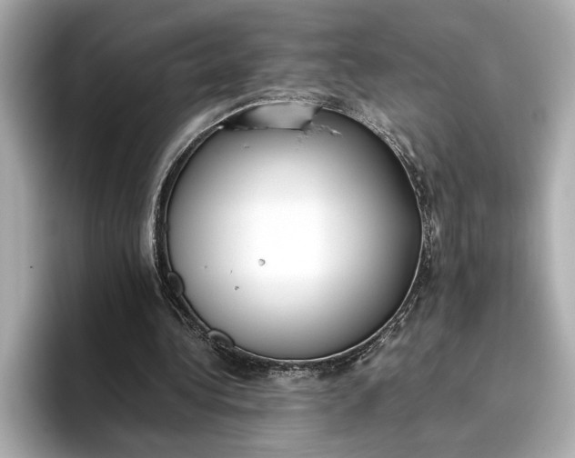 X0000096960340200802221346