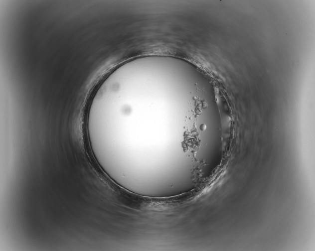 X0000096960341200802221346