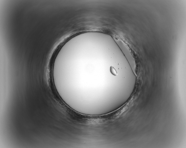 X0000096960342200802221346