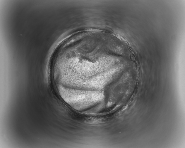 X0000096960343200802221346