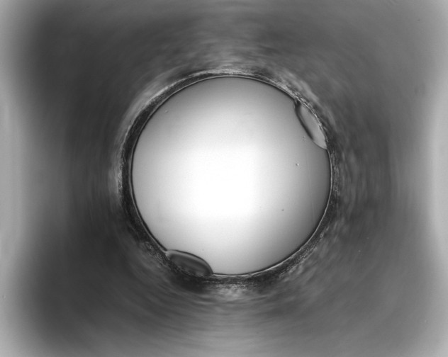 X0000096960344200802221346