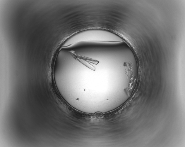 X0000096960345200802221346