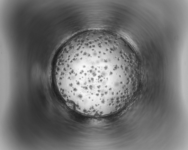 X0000096960346200802221346