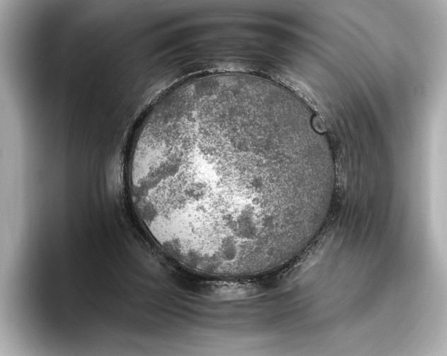 X0000096960347200802221347