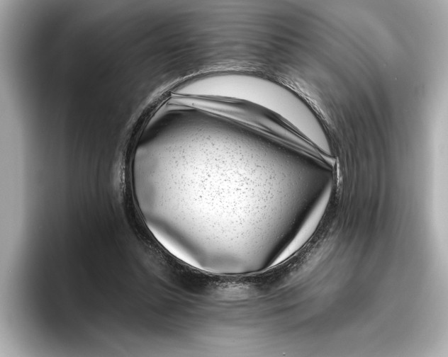 X0000096960348200802221347