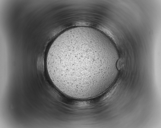 X0000096960349200802221347