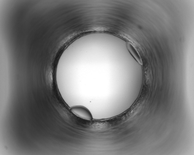 X0000096960350200802221347