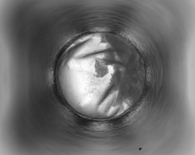 X0000096960351200802221347