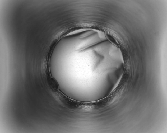 X0000096960352200802221347