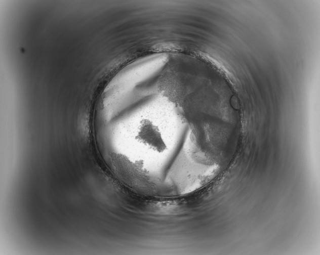 X0000096960353200802221347