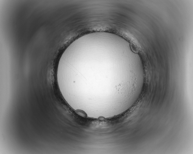 X0000096960354200802221347