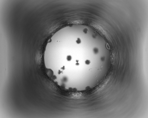 X0000096960355200802221347