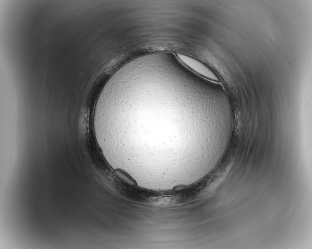 X0000096960356200802221347