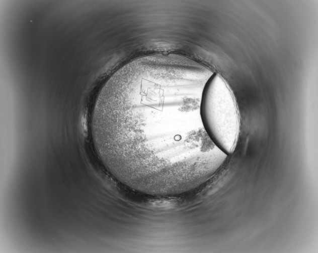 X0000096960358200802221347