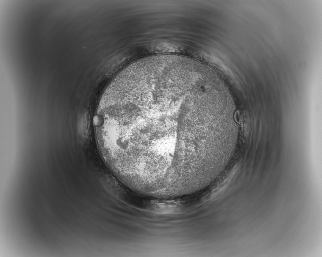 X0000096960359200802221347