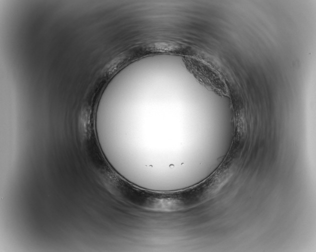 X0000096960360200802221347