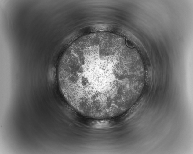 X0000096960361200802221347