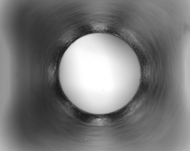 X0000096960364200802221347