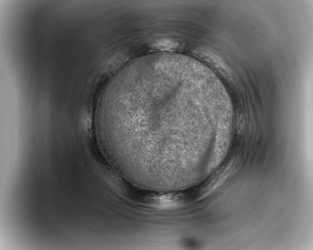 X0000096960365200802221347