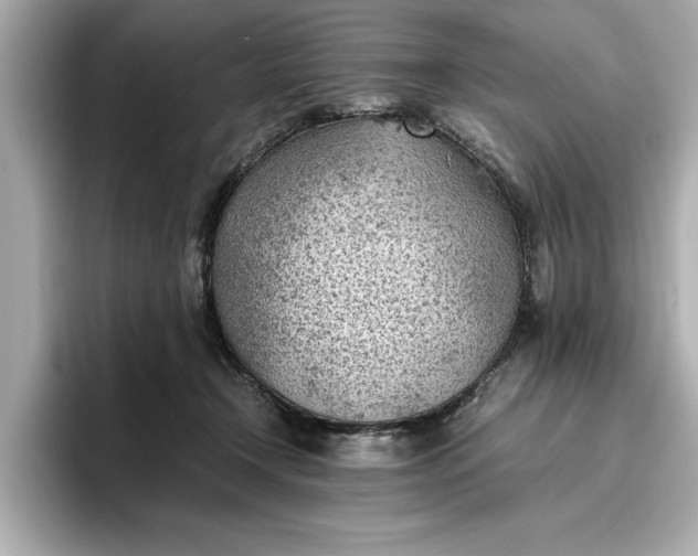 X0000096960366200802221347