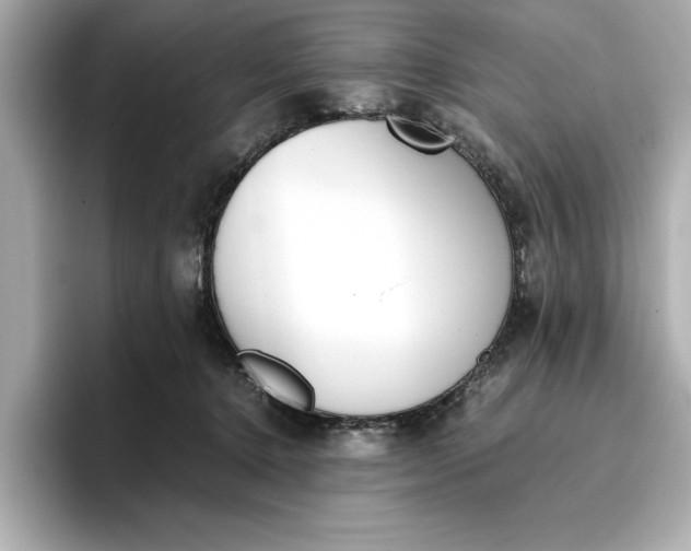 X0000096960368200802221347