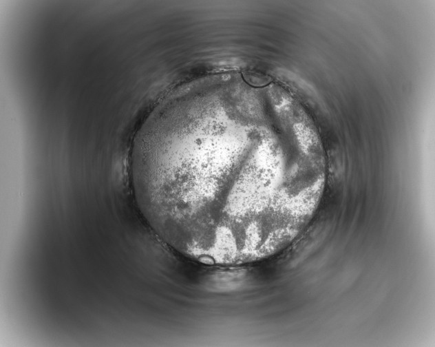 X0000096960369200802221347