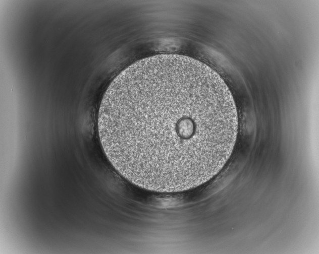 X0000096960370200802221347