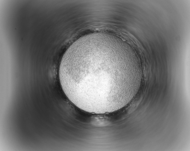 X0000096960372200802221347