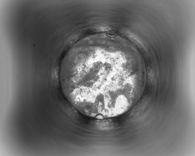 X0000096960373200802221347