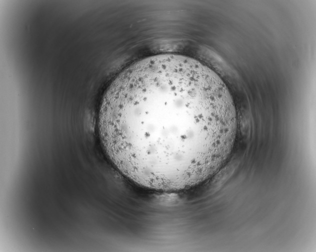 X0000096960374200802221347