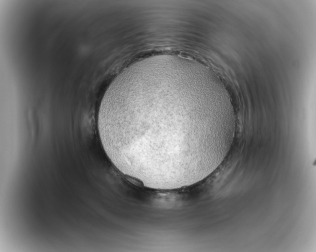 X0000096960376200802221347