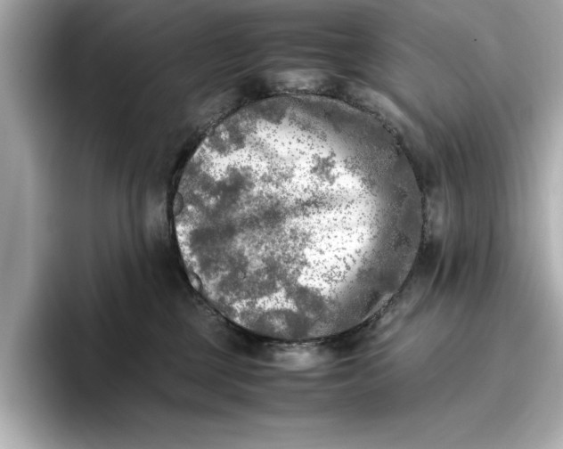 X0000096960377200802221347