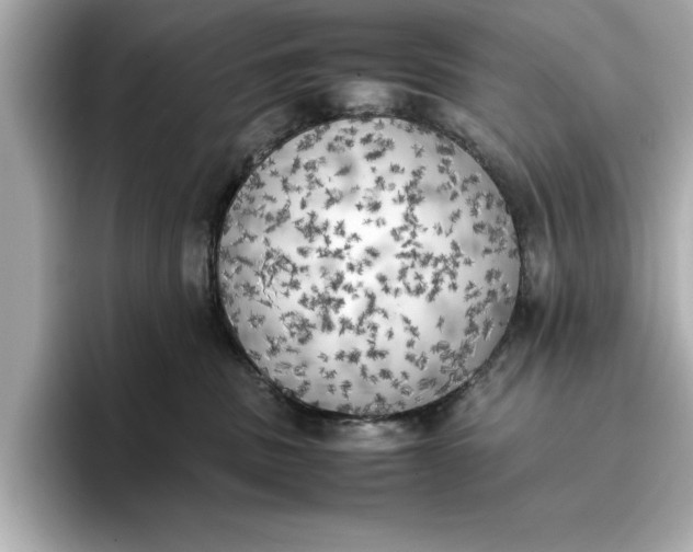 X0000096960379200802221347