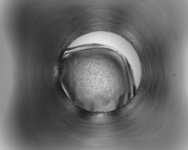 X0000096960382200802221347