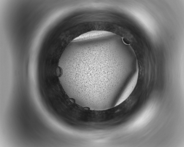 X0000096960383200802221347