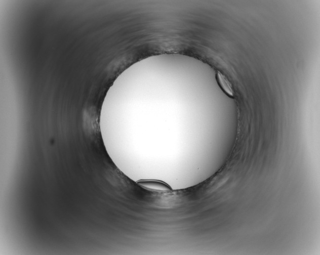 X0000096960384200802221347