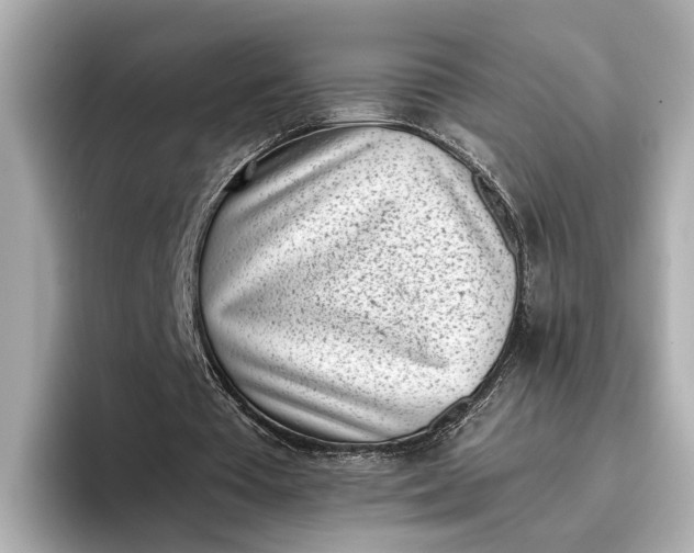 X0000096960385200802221346