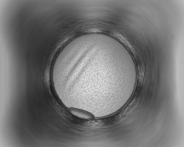 X0000096960386200802221346