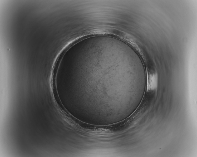 X0000096960387200802221346