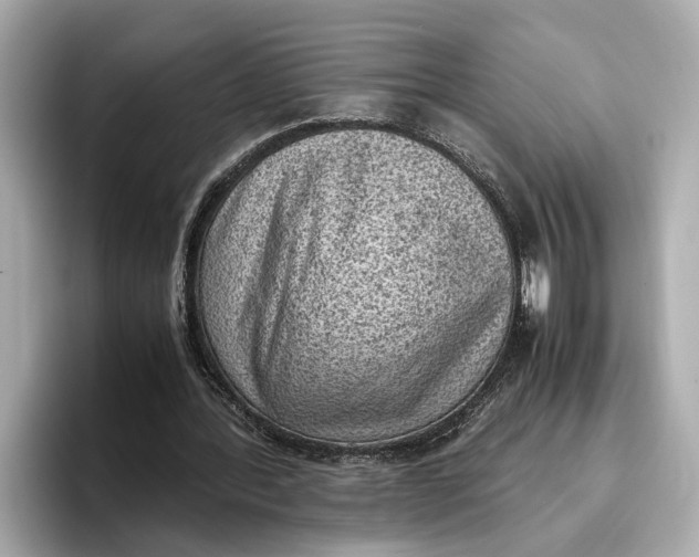 X0000096960388200802221346