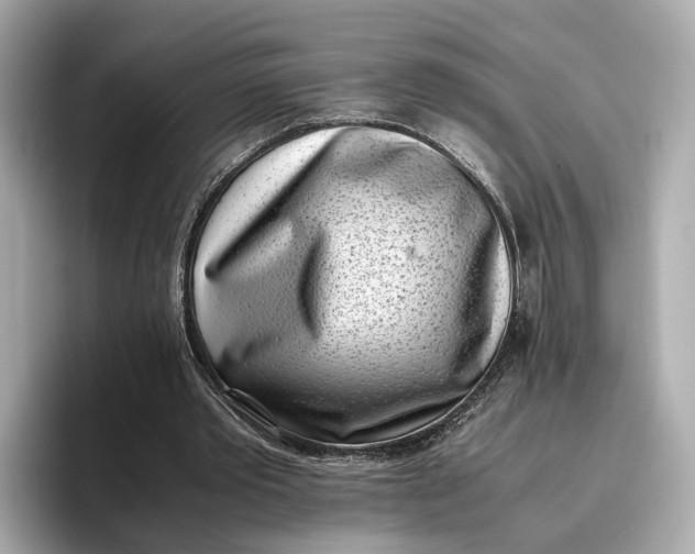 X0000096960389200802221346