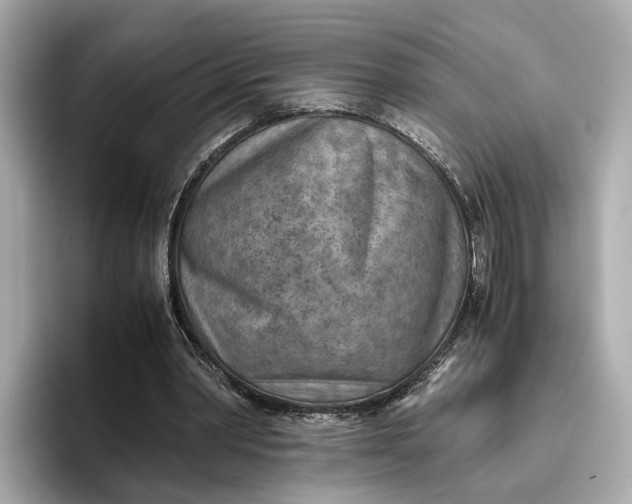 X0000096960390200802221346