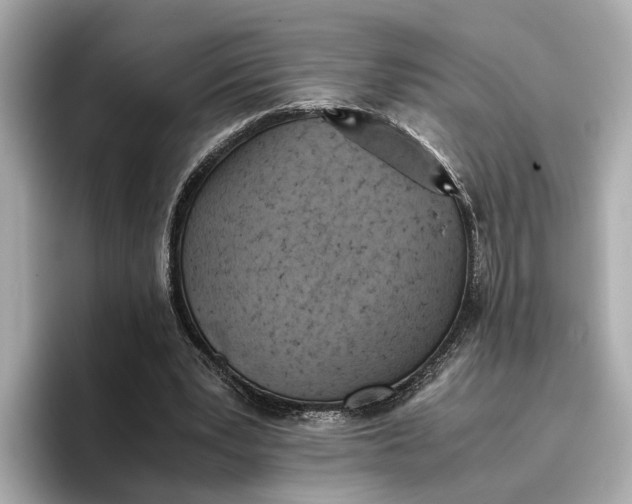 X0000096960391200802221346