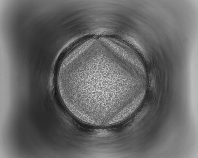 X0000096960392200802221346