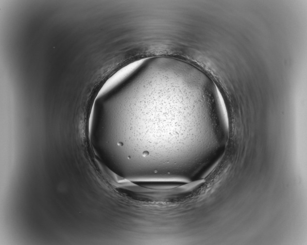 X0000096960393200802221346