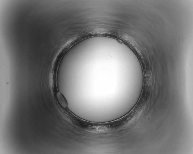 X0000096960395200802221346