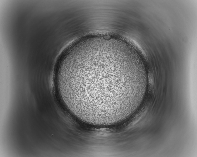 X0000096960396200802221346