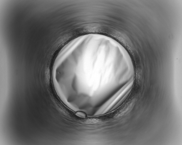 X0000096960397200802221346