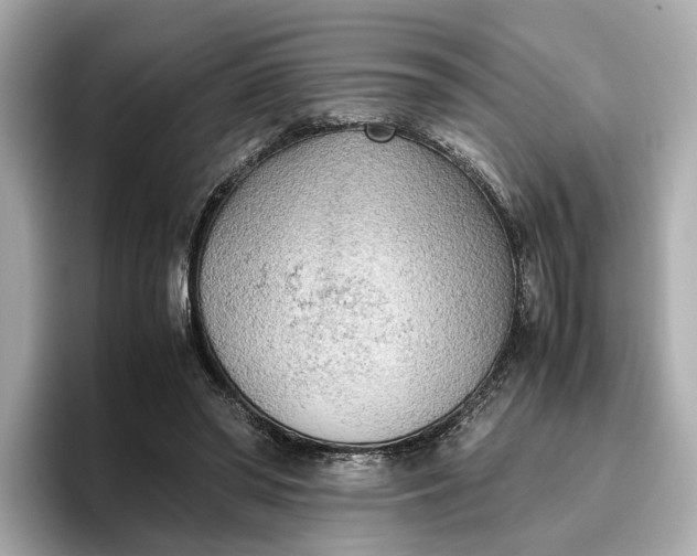 X0000096960398200802221346