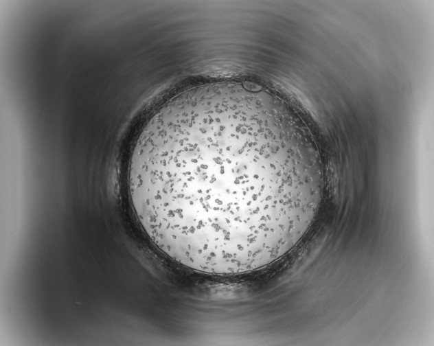 X0000096960400200802221346